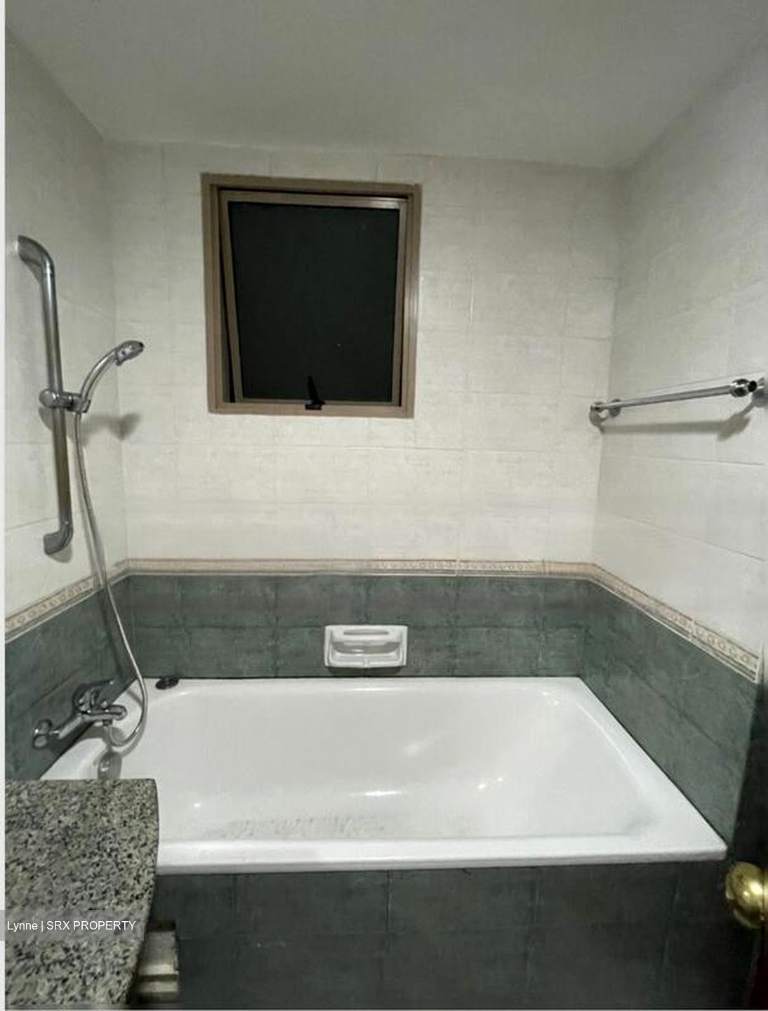 The Rivervale (D19), Condominium #503746881